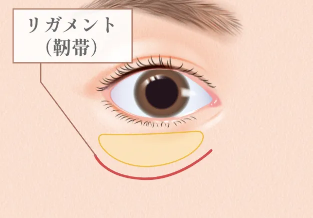 脂肪注入
